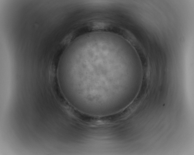 X0000114430737200910161335