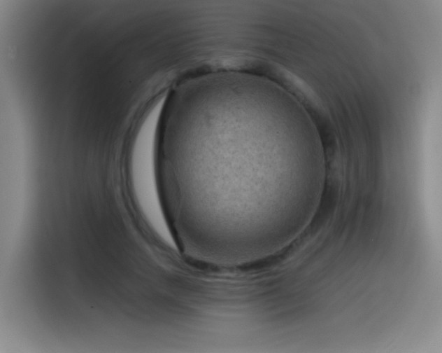 X0000114430738200910161335