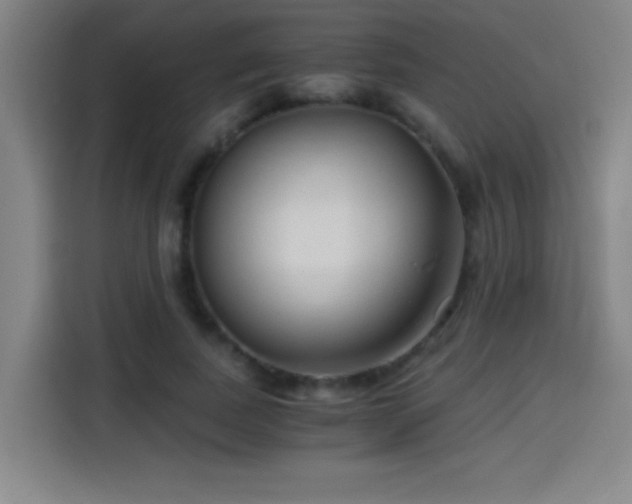 X0000114430739200910161335