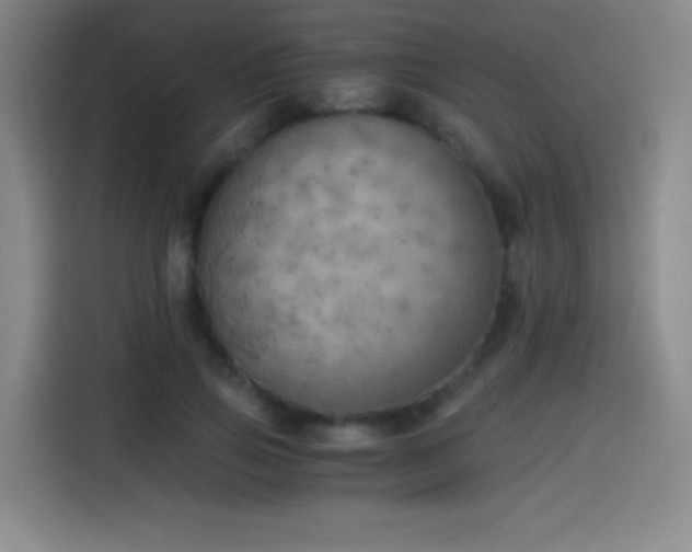 X0000114430741200910161335