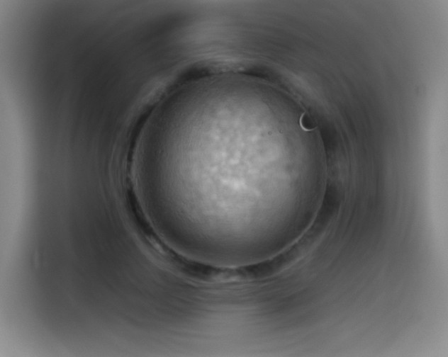 X0000114430742200910161335