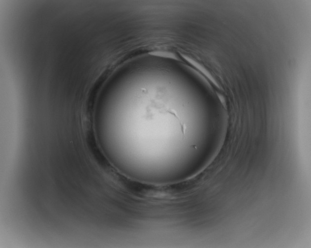 X0000114430743200910161335