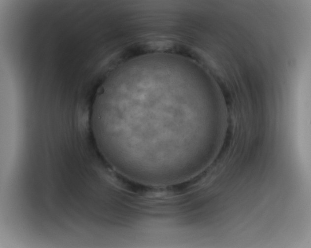 X0000114430745200910161335