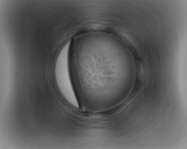 X0000114430746200910161335
