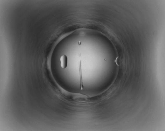 X0000114430750200910161335