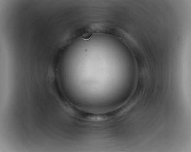 X0000114430751200910161335