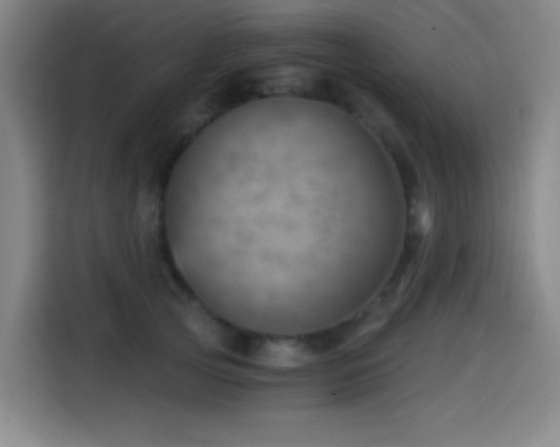 X0000114430753200910161335