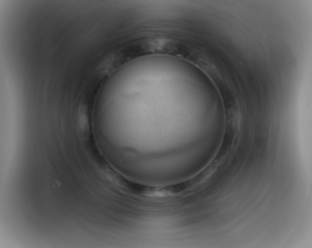 X0000114430754200910161335