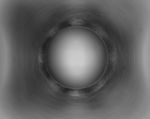 X0000114430755200910161335