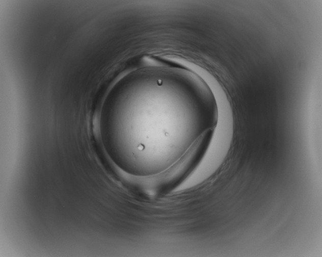 X0000114430757200910161335