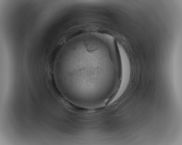 X0000114430759200910161335