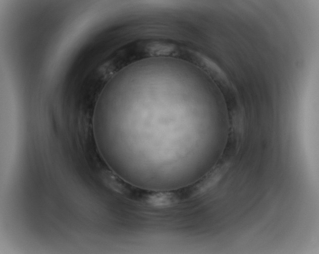 X0000114430761200910161335