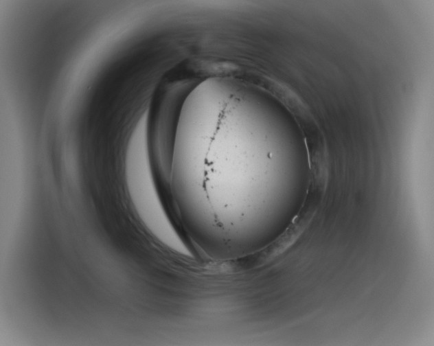 X0000114430762200910161335