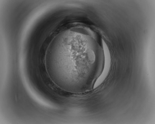 X0000114430763200910161335