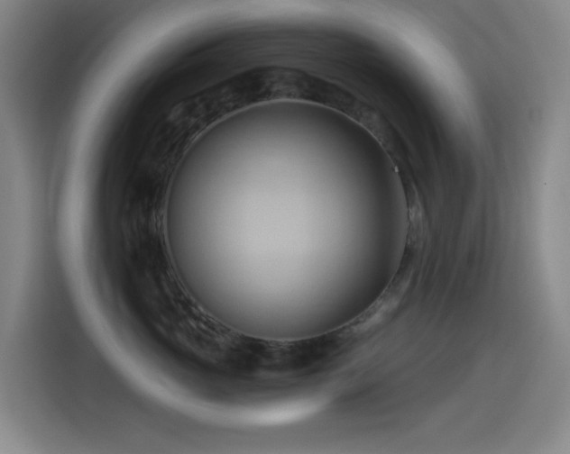 X0000114430765200910161335