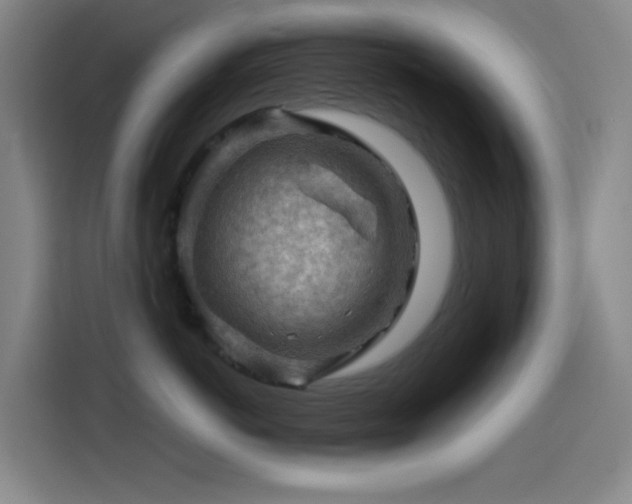 X0000114430766200910161335