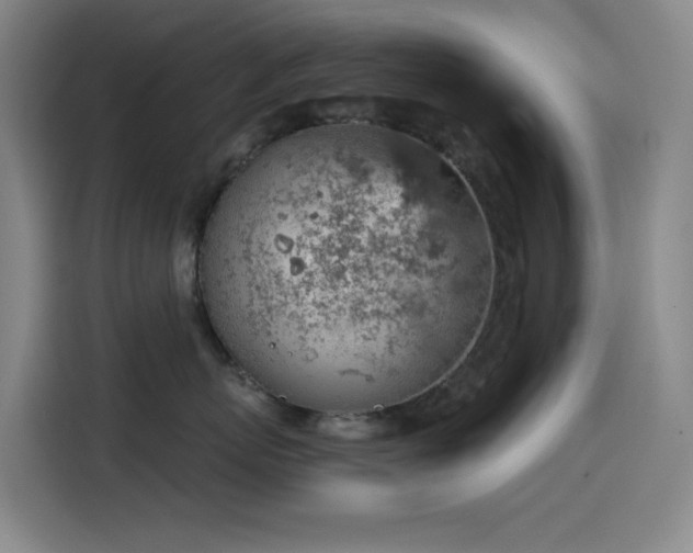 X0000114430767200910161335