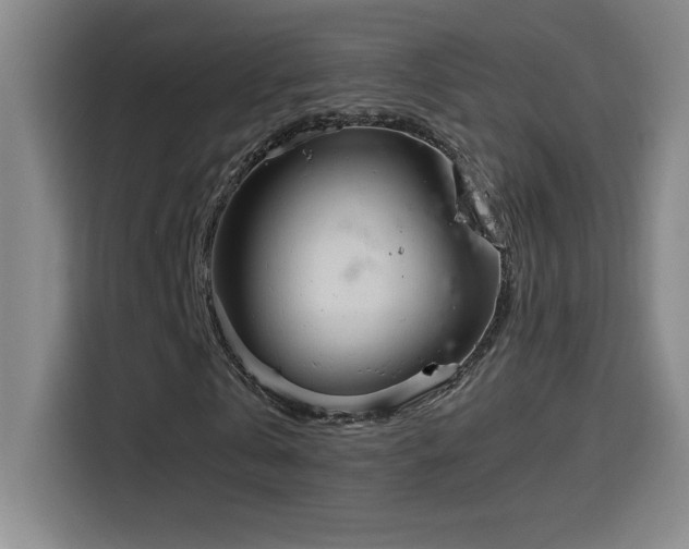 X0000114430769200910161334