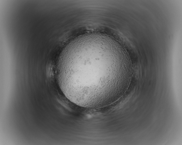 X0000114430770200910161334