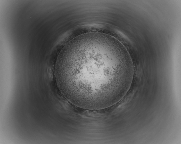 X0000114430774200910161334