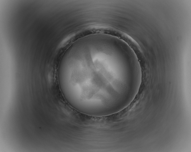 X0000114430775200910161334