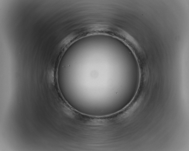 X0000114430777200910161334