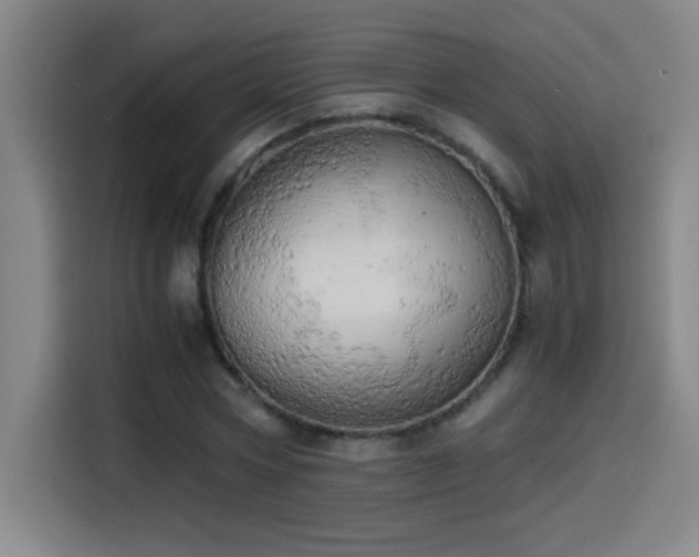 X0000114430778200910161334