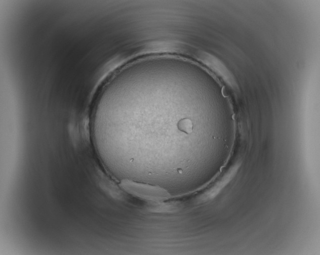 X0000114430781200910161334