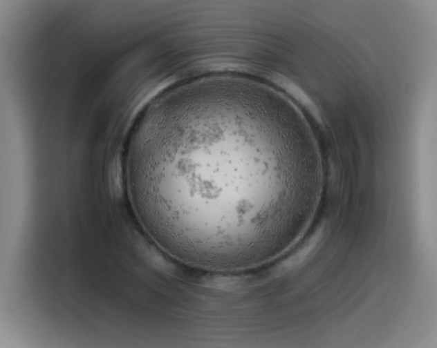 X0000114430782200910161334