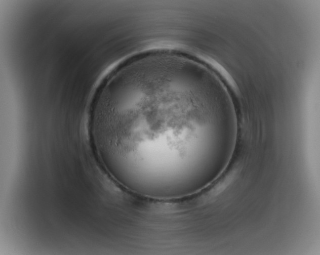 X0000114430783200910161334