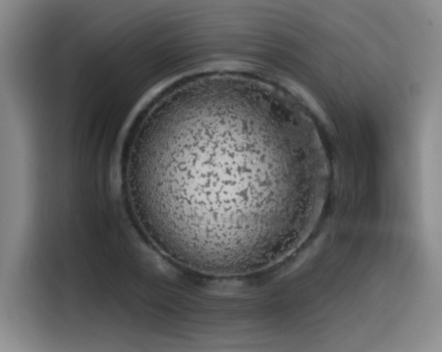 X0000114430784200910161334