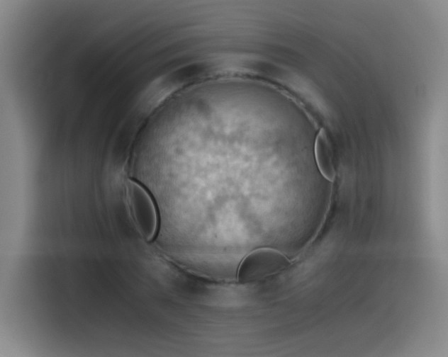X0000114430785200910161334
