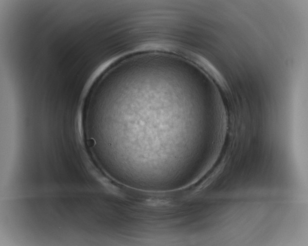 X0000114430788200910161334