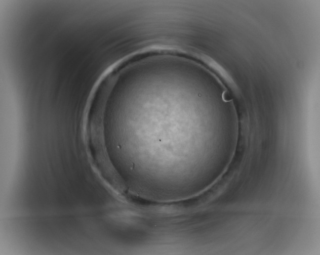 X0000114430791200910161334