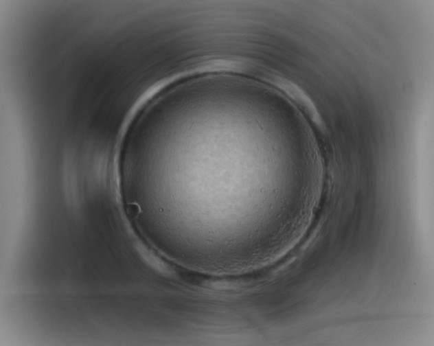 X0000114430792200910161334