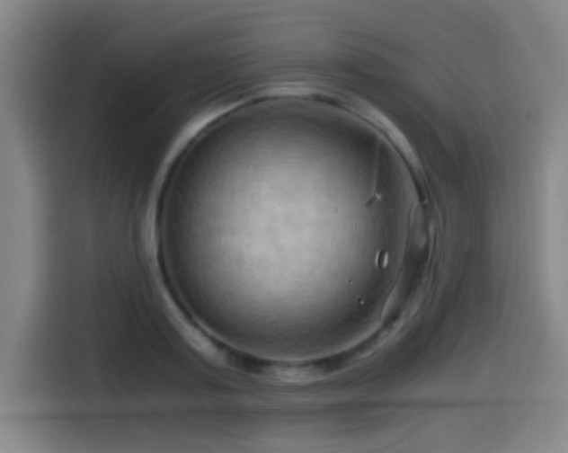 X0000114430795200910161334