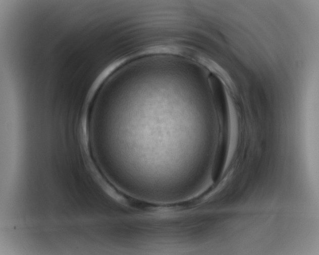 X0000114430796200910161334