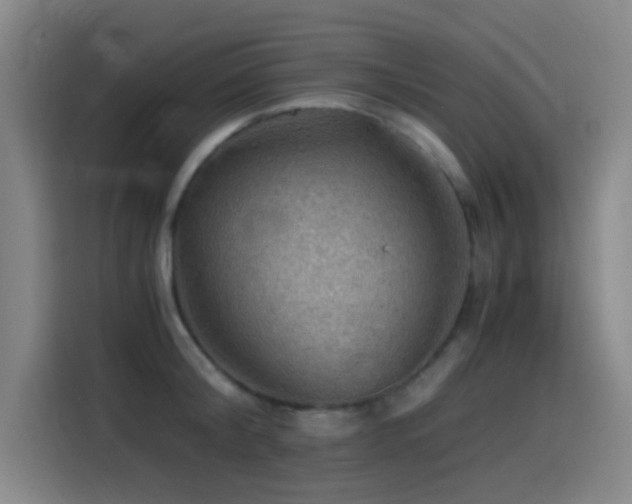 X0000114430804200910161334