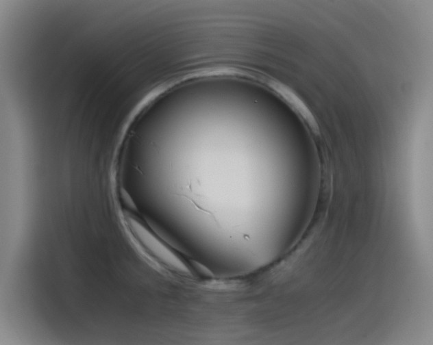 X0000114430805200910161334
