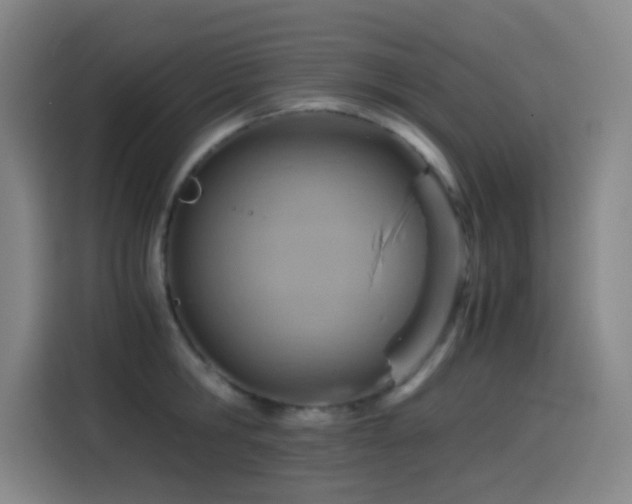 X0000114430806200910161334