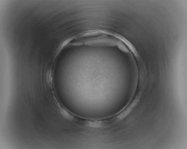 X0000114430809200910161334