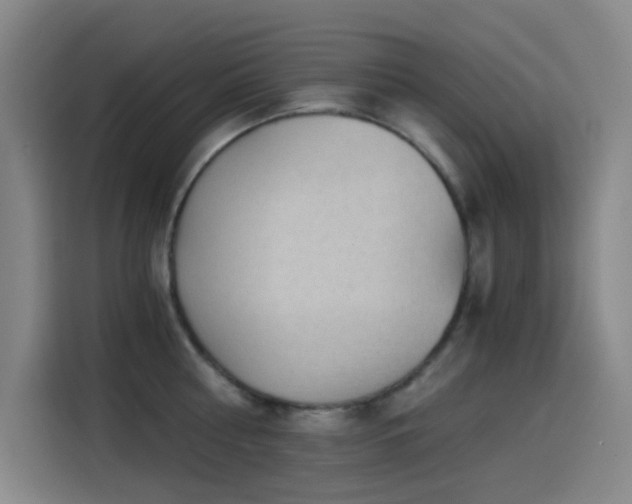 X0000114430810200910161334