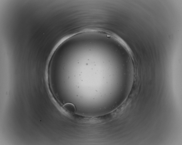 X0000114430811200910161334