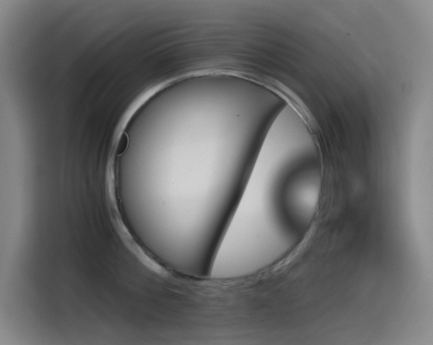 X0000114430812200910161334