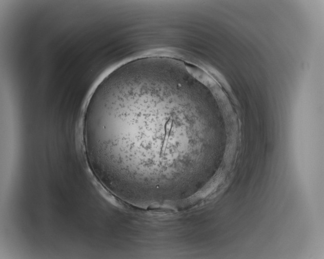 X0000114430816200910161334