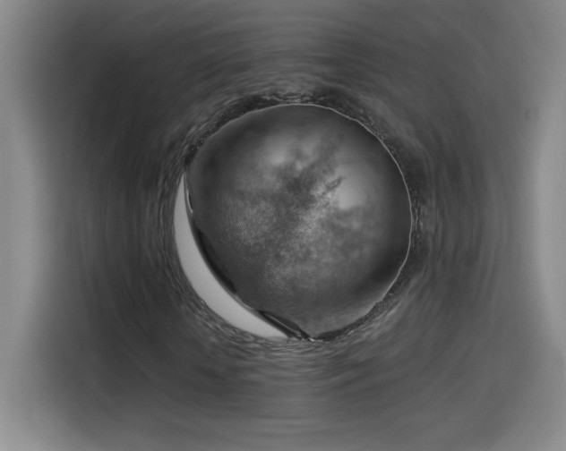 X0000114430818200910161333