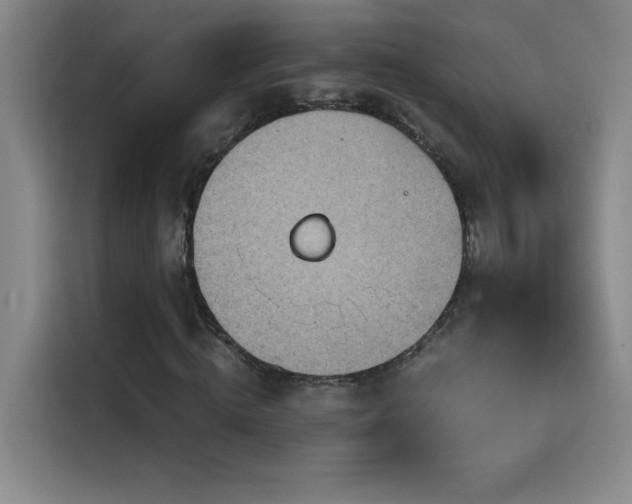 X0000114430820200910161333