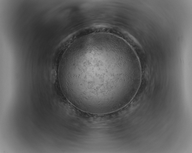 X0000114430821200910161333