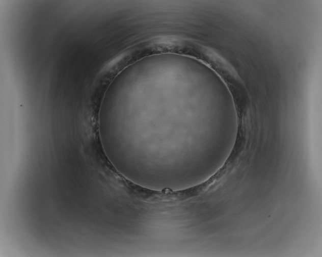 X0000114430822200910161333