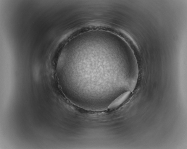 X0000114430823200910161333